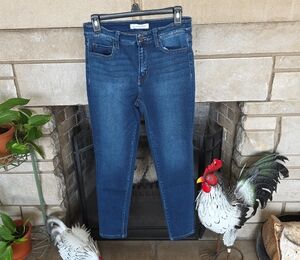 Flying Monkey Dark Blue Skinny Jeans